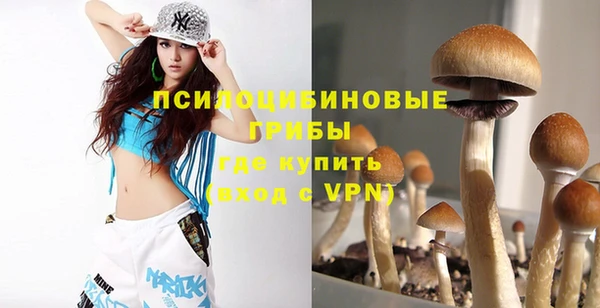 прущая мука Ельня