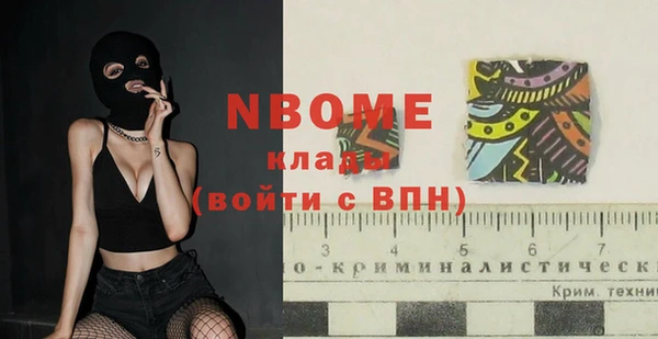 прущие грибы Переславль-Залесский
