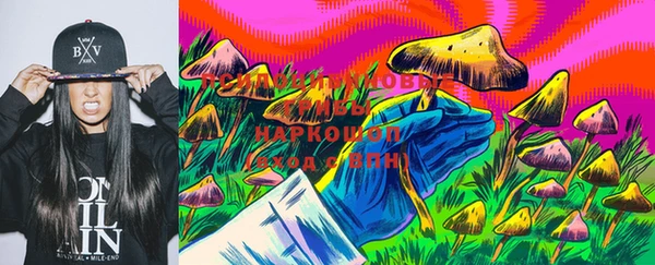 a pvp Пестово
