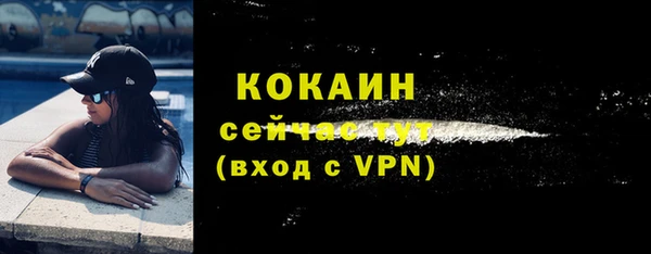 прущие грибы Переславль-Залесский