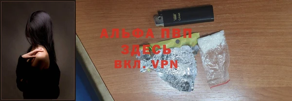 прущие грибы Переславль-Залесский