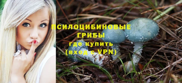 a pvp Пестово