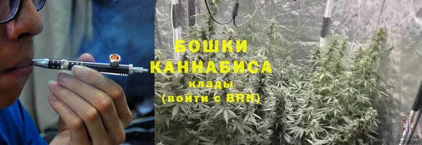 прущие грибы Переславль-Залесский