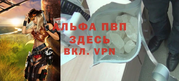 прущие грибы Переславль-Залесский