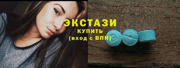 гидра Билибино