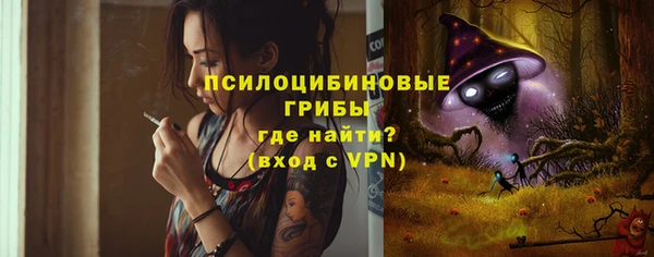 a pvp Пестово