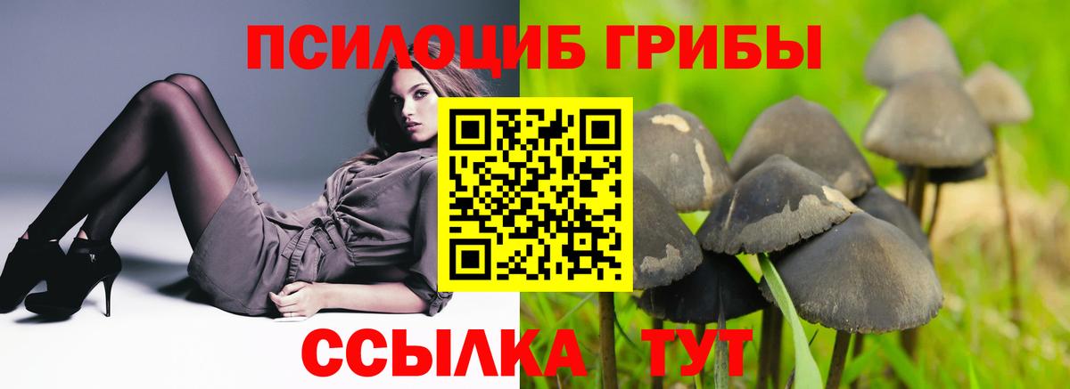 Псилоцибиновые грибы MAGIC MUSHROOMS  Вход с VPN  Каменск-Шахтинский 