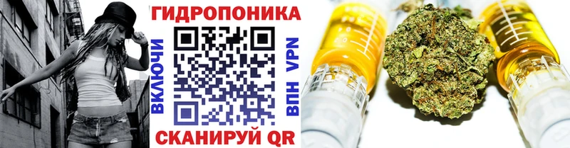 Конопля план  Каменск-Шахтинский 